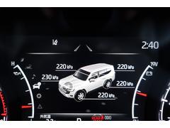 ɥ롼 ڣءʣ£̥ɥƥࡡϣХꥢȥ󥿡ǥꥹѥΥߥåӥ塼˥ 0503300A30251019W001 3