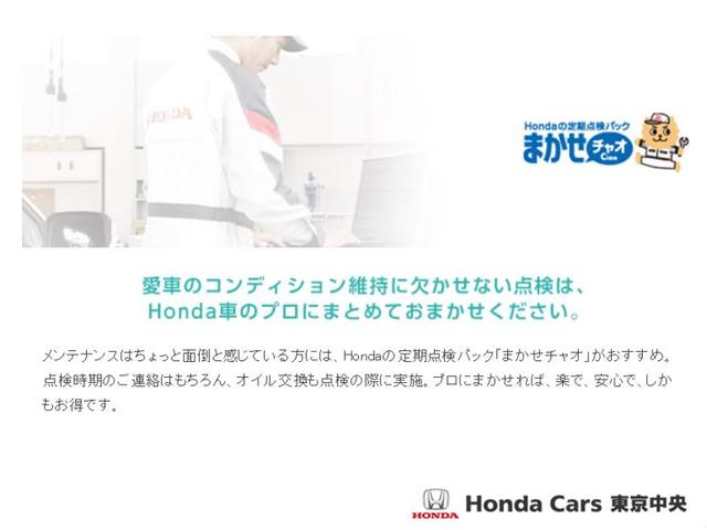 Ｇ・ＥＸホンダセンシング　禁煙ナビカメラ衝突軽減Ｂドラレコ　ワンオーナ車　Ｂカメ　整備記録簿　スマキー　フルセグテレビ　サイドカーテンエアバック　両席エアバック　ドライブレコーダ　ＶＳＡ　ＬＥＤヘッドランプ　ナビＴＶ　ＵＳＢ(47枚目)