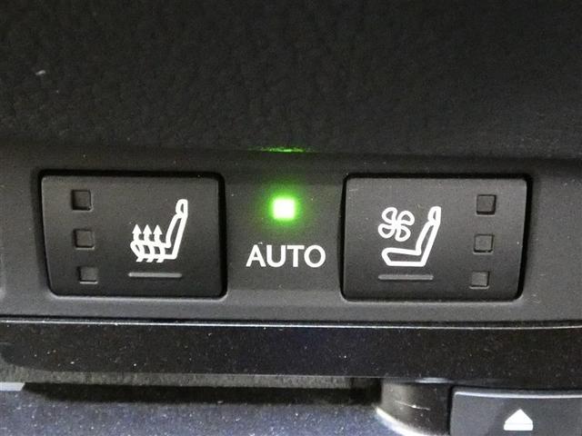 ＥＳ ＥＳ３００ｈ　バージョンＬ　１００Ｖ電源　ドラレコ　ミュージックプレイヤー接続可　電動シート　サンルーフ　革シート　アルミホイール　ＬＥＤヘッドランプ　キーレス　ＣＤ　Ｗエアコン　盗難防止装置　ハイブリッド　メモリーナビ（20枚目）