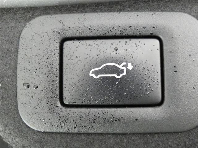 ＥＳ ＥＳ３００ｈ　バージョンＬ　１００Ｖ電源　ドラレコ　ミュージックプレイヤー接続可　電動シート　サンルーフ　革シート　アルミホイール　ＬＥＤヘッドランプ　キーレス　ＣＤ　Ｗエアコン　盗難防止装置　ハイブリッド　メモリーナビ（30枚目）