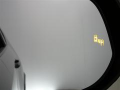 ֥饤ɥݥåȥ˥ټξΡɥߥ顼Ǥϳǧˤ塢¦ꥢ¸ߤξܶᤷƤξ⸡Τɥߥ顼ܤ줿̣ţĥ󥸥ޤ 7