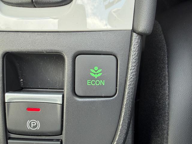 フィット e:HEVホーム 当社デモカー 前後誤発進抑制機能 クリソナ 助手席エアバッグ 運転席エアバッグ LEDライト USB接続 バックカメラ ABS サイドエアバッグ オートクルーズコントロール フルセグTV スマートキー(16枚目)