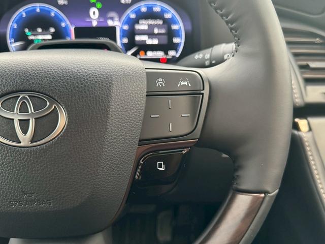 アルファード Ｚ　左右独立ムーンルーフ　ユニバーサルステップ　前席シートＨ＆ベンチレーション　両側Ｐスライド　革シート　ＨＵＤ　ＴＳＳ　ＢＳＭ　デジタルインナーＭ　後席電動ロールサンシェード　純正１４インチフルセグナビ（21枚目）