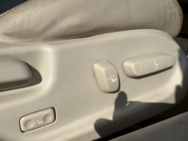 �^�]�ȃp���[�V�[�g