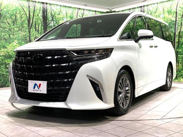 アルファードハイブリッド Z ガラスルーフ 純正14型ナビ 全周囲カメラ 後席モニター 両側電動スライドドア 衝突軽減 レーダークルーズ BSM HUD ETC デジタルインナーミラー パワーバックドア パワーシート(24枚目)