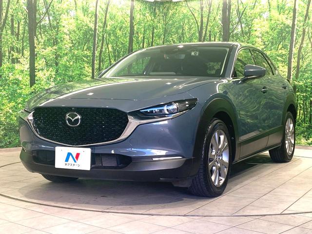 CX-30 20S プロアクティブ ツーリングセレクション 純正8型ナビ 全周囲カメラ 衝突軽減 レーダークルーズコントロール BSM HUD ETC 前席シートヒーター ステアリングヒーター パワーシート オートハイビーム オートライト オートエアコン(28枚目)