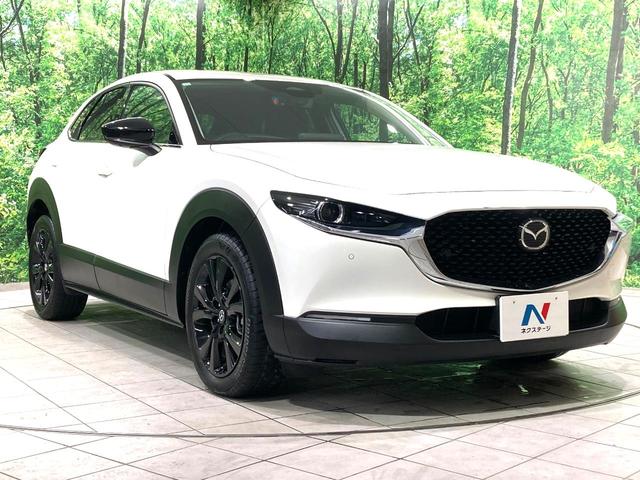 CX-30 20S ブラックトーンエディション 純正10型ナビ 全周囲カメラ 衝突被害軽減システム レーダークルーズ 禁煙車 電動リアゲート コーナーセンサー スマートキー LEDヘッド ビルトインETC 純正18インチアルミ(16枚目)