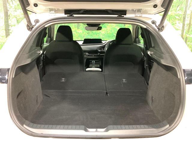 CX-30 20S ブラックトーンエディション 純正10型ナビ 全周囲カメラ 衝突被害軽減システム レーダークルーズ 禁煙車 電動リアゲート コーナーセンサー スマートキー LEDヘッド ビルトインETC 純正18インチアルミ(35枚目)