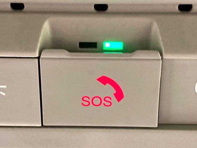 セレナ e-パワー ルキシオン 純正エアロ 純正12.3型ディスプレイ 両側電動ドア 全周囲カメラ プロパイロット 禁煙車 レザーシート コーナーセンサー スマートキー LEDヘッド ETC 純正16インチアルミ オートライト(63枚目)