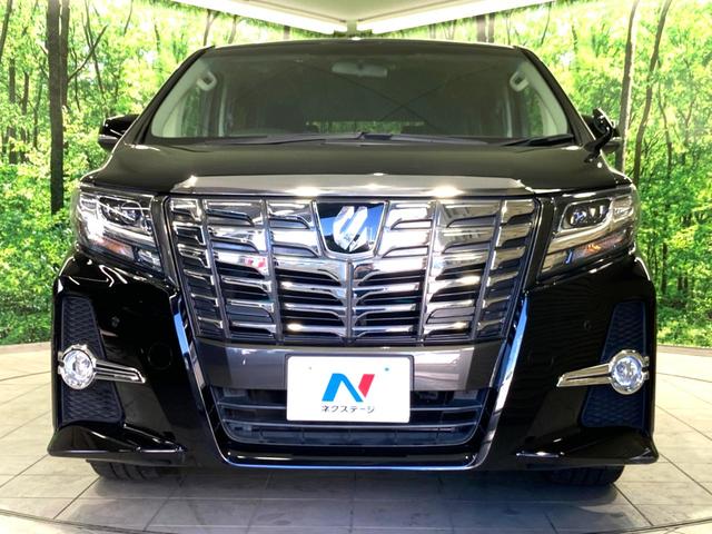 アルファード 2.5S 11型BIG-X フリップダウンモニター 両側電動ドア 禁煙車 LEDヘッドライト オートライト クリアランスソナー オートエアコン 純正18インチアルミ 横滑り防止 ETC バックカメラ(14枚目)