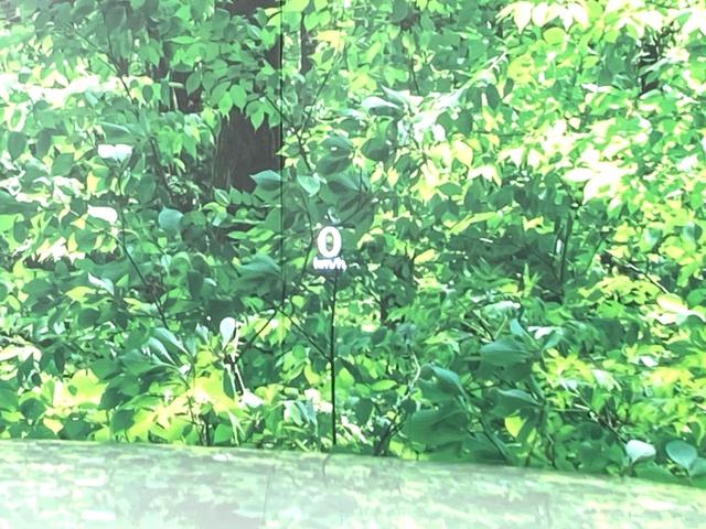 ＣＸ－６０ ２５Ｓ　エクスクルーシブモード　純正１２．３型ディスプレイ　全周囲カメラ　ＢＯＳＥ　衝突軽減　レーダークルーズ　禁煙車　電動リアゲート　レザーシート　シートベンチレーション　コーナーセンサー　スマートキー　ＬＥＤヘッド　ＥＴＣ（61枚目）