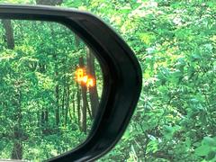 ڥ֥饤ɥݥåȥ˥桢ɥߥ顼λѤˤʤ䤹ս˸³֤᤹ܶȥɥߥ顼Υ󥺤˷ٹɽɥ饤Сմ򤷤Ƥޤ 5