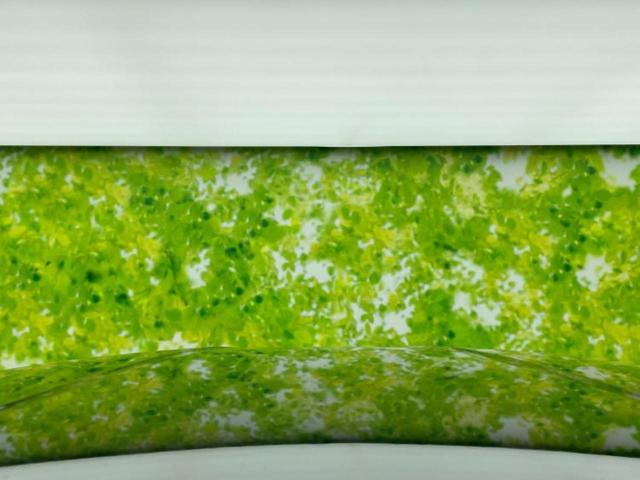 フリード Gホンダセンシング 新品タイヤ/保証書/社外 SDナビ/衝突安全装置/両側電動スライドドア/車線逸脱防止支援システム/パーキングアシスト バックガイド/ドライブレコーダー 社外/ヘッドランプ LED 衝突被害軽減システム(56枚目)