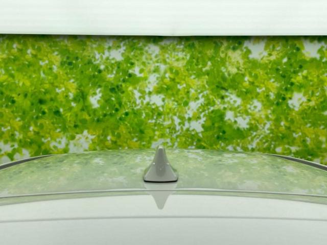 レヴォーグ 4WD STIスポーツEX 保証書/純正 11.6インチ SDナビ/デジタルインナーミラー/衝突安全装置/シートヒーター/全方位モニター/車線逸脱防止支援システム/シート フルレザー/パーキングアシスト バックガイド 革シート(51枚目)