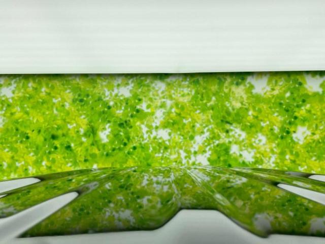 N-BOX G 保証書/社外 SDナビ/衝突安全装置/車線逸脱防止支援システム/ドライブレコーダー 社外/ヘッドランプ LED/Bluetooth接続/ETC/EBD付ABS/横滑り防止装置/アイドリングストップ(49枚目)