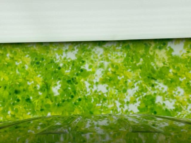 N-BOX ターボSSパッケージ 保証書/社外 SDナビ/衝突安全装置/両側電動スライドドア/車線逸脱防止支援システム/ドライブレコーダー 社外/Bluetooth接続/ETC/EBD付ABS/横滑り防止装置/アイドリングストップ(47枚目)