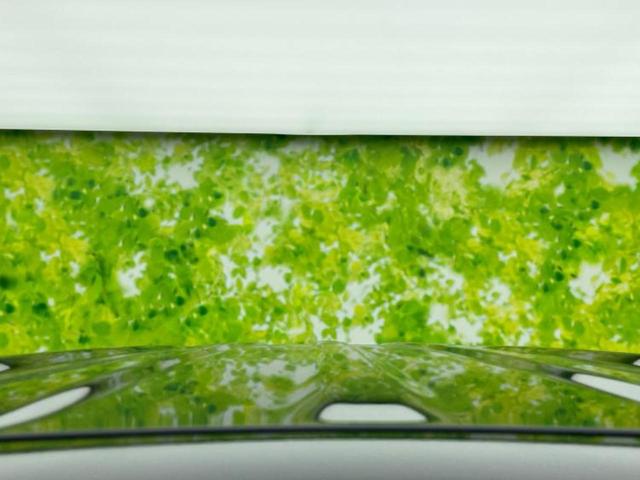 N-BOXカスタム ターボ 保証書/純正 8インチ ナビ/ホンダセンシング/両側電動スライドドア/シートヒーター/車線逸脱防止支援システム/シート ハーフレザー/ヘッドランプ LED/Bluetooth接続/ETC ターボ(56枚目)