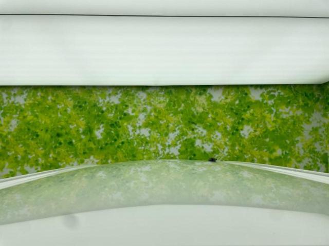 タント Ｘ　ＳＡ　新品タイヤ／保証書／衝突安全装置／ＥＢＤ付ＡＢＳ／横滑り防止装置／アイドリングストップ／禁煙車／エアバッグ　運転席／エアバッグ　助手席／パワーウインドウ／エンジンスタートボタン／キーレスエントリー（52枚目）