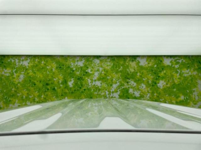 N-BOXカスタム G・Lホンダセンシング 保証書/社外 8インチ SDナビ/デジタルインナーミラー/電動スライドドア/ヘッドランプ LED/Bluetooth接続/ETC/EBD付ABS/横滑り防止装置/アイドリングストップ バックカメラ(54枚目)