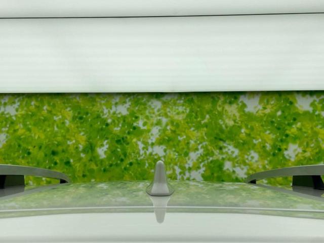 フォレスター 4WD2.0XTアイサイト サンルーフ/保証書/純正 SDナビ/衝突安全装置/シートヒーター/車線逸脱防止支援システム/シート ハーフレザー/ヘッドランプ LED/Bluetooth接続/ETC/EBD付ABS バックカメラ(56枚目)