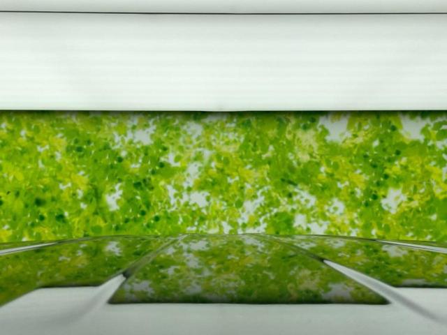 デリカＤ：５ ４ＷＤ　Ｐ　保証書／衝突安全装置／両側電動スライドドア／シートヒーター／車線逸脱防止支援システム／電動バックドア／ドライブレコーダー　社外／ヘッドランプ　ＬＥＤ／Ｂｌｕｅｔｏｏｔｈ接続／ＥＴＣ／ＥＢＤ付ＡＢＳ（52枚目）