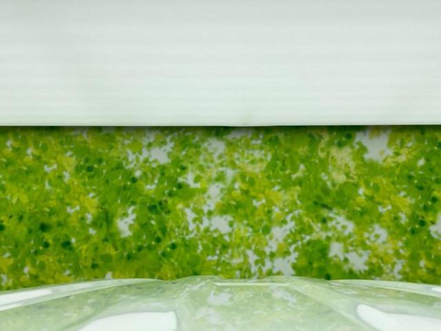 スペーシア Ｘ　新品タイヤ／保証書／社外　ＳＤナビ／電動スライドドア／ドライブレコーダー　前後／ＥＴＣ／ＥＢＤ付ＡＢＳ／アイドリングストップ／バックモニター／ＤＶＤ／エアバッグ　運転席／エアバッグ　助手席　ＤＶＤ再生（52枚目）