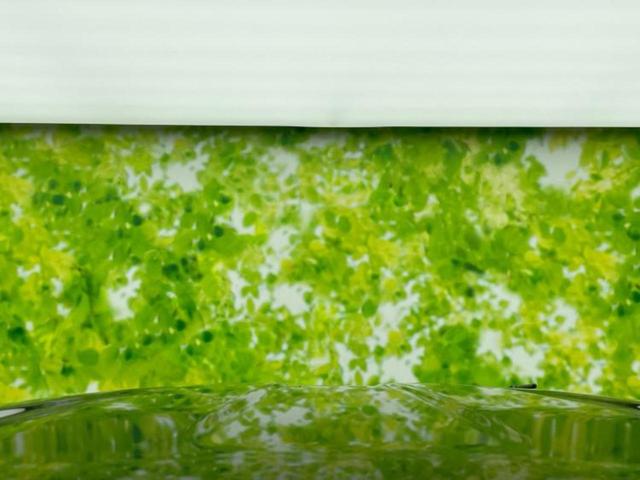 タント Ｘ　新品タイヤ／保証書／社外　８インチ　ＳＤナビ／衝突安全装置／電動スライドドア／シートヒーター　前席／車線逸脱防止支援システム／ドライブレコーダー　前後／ヘッドランプ　ＬＥＤ／Ｂｌｕｅｔｏｏｔｈ接続（52枚目）