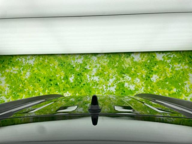 カローラクロス Ｓ　保証書／純正　８インチ　ＨＤＤナビ／衝突安全装置／パノラミックビューモニター／車線逸脱防止支援システム／パーキングアシスト　バックガイド／ドライブレコーダー　前後／ヘッドランプ　ＬＥＤ　全周囲カメラ（49枚目）