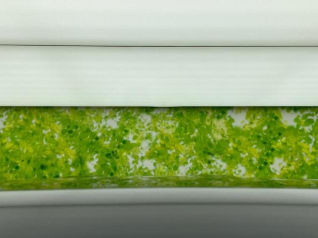 セレナ ハイウェイスターVセレクション 新品タイヤ/保証書/純正 9インチ SDナビ/フリップダウンモニター 社外 10.2インチ/インテリジェントルームミラー/衝突安全装置/両側電動スライドドア/全方位モニター 衝突被害軽減システム(53枚目)