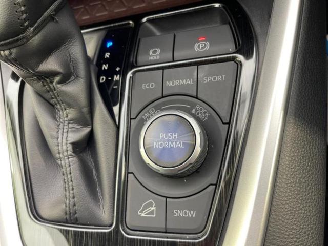 ＲＡＶ４ ４ＷＤ　Ｇ　Ｚパッケージ　純正エアロ／保証書／純正　９インチ　ＳＤナビ／デジタルインナーミラー／衝突安全装置／シートヒーター／車線逸脱防止支援システム／シート　フルレザー／電動バックドア／ドライブレコーダー　前後　革シート（31枚目）