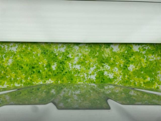 ジムニーシエラ ４ＷＤ　ＪＣ　新品タイヤ／保証書／社外　ＳＤナビ／衝突安全装置／シートヒーター／車線逸脱防止支援システム／ドライブレコーダー　前後／ヘッドランプ　ＬＥＤ／Ｂｌｕｅｔｏｏｔｈ接続／ＥＴＣ／ＥＢＤ付ＡＢＳ　ワンオーナー（50枚目）