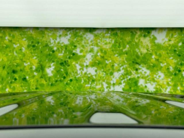 Ｎ－ＢＯＸ ヒョウジュン　保証書／ホンダセンシング／電動スライドドア／車線逸脱防止支援システム／ヘッドランプ　ＬＥＤ／ＵＳＢジャック／ＥＢＤ付ＡＢＳ／横滑り防止装置／アイドリングストップ／禁煙車／エアバッグ　運転席（52枚目）