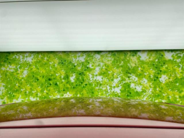 eKワゴン E e-アシスト 保証書/純正 SDナビ/ETC/EBD付ABS/横滑り防止装置/ワンセグTV/エアバッグ 運転席/エアバッグ 助手席/アルミホイール 純正 14インチ/パワーウインドウ/キーレスエントリー(48枚目)