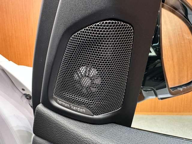 X5 xDrive 35d Mスポーツ ワンオーナーセレクトPKG harmankardon サンルーフ ACC 黒革シート パワーシート 前後席シートヒーター 電動リアゲート コンフォートアクセス インテリジェントセーフティ LDW(29枚目)