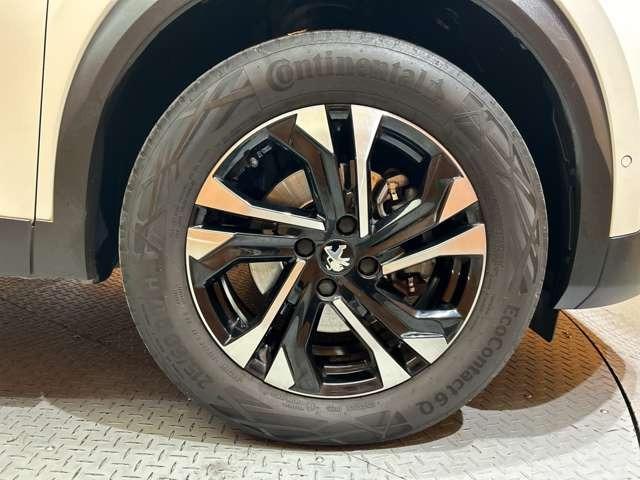 �v���~�A���A���Ԃ����T���ɂȂ��Ă�����ցA�M���̑�؂ȂP������͂����܂��B��������̃u�����h���r�ׁA�������݉������B