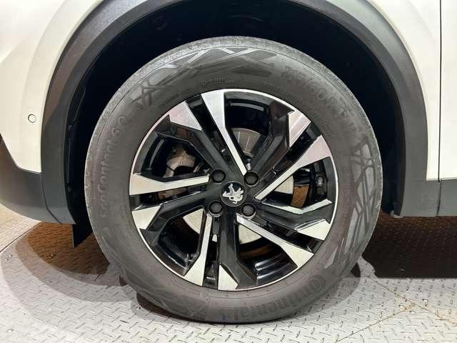 �v���~�A���A���Ԃ����T���ɂȂ��Ă�����ցA�M���̑�؂ȂP������͂����܂��B��������̃u�����h���r�ׁA�������݉������B