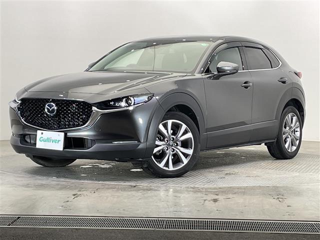 ＣＸ－３０ ２０Ｓ　プロアクティブ　ツーリングセレクション　禁煙車　純正ナビ　フルセグＴＶ　Ｂｌｕｅｔｏｏｔｈ　ＣＤ　ＵＳＢ　全方位カメラ　バックカメラ　衝突軽減システム　レーンキープアシスト　クルーズコントロール　ドライブレコーダー　ＥＴＣ　パワーシート（32枚目）
