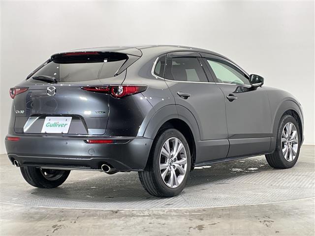 ＣＸ－３０ ２０Ｓ　プロアクティブ　ツーリングセレクション　禁煙車　純正ナビ　フルセグＴＶ　Ｂｌｕｅｔｏｏｔｈ　ＣＤ　ＵＳＢ　全方位カメラ　バックカメラ　衝突軽減システム　レーンキープアシスト　クルーズコントロール　ドライブレコーダー　ＥＴＣ　パワーシート（33枚目）