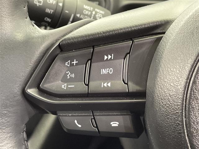 ＣＸ－３ １５Ｓ　ツーリング　禁煙車　純正ナビ　フルセグＴＶ　Ｂｌｕｅｔｏｏｔｈ　ＣＤ　ＤＶＤ　ＵＳＢ　バックカメラ　オートホールド　ドアバイザー　前方ドライブレコーダー　衝突軽減システム　コーナーセンサー　ＬＥＤオートライト（15枚目）