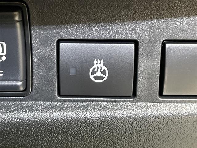 デリカミニ Ｔ　プレミアム　４ＷＤ　ターボ　両側ハンズフリーオートスライドドア　ルーフレール　マルチアラウンドモニター　ｅ－Ａｓｓｉｓｔ　衝突被害軽減ブレーキシステム　マイパイロット　コーナーセンサー　ヒルディセントコントロール（12枚目）