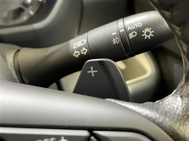 デリカミニ Ｔ　プレミアム　４ＷＤ　ターボ　両側ハンズフリーオートスライドドア　ルーフレール　マルチアラウンドモニター　ｅ－Ａｓｓｉｓｔ　衝突被害軽減ブレーキシステム　マイパイロット　コーナーセンサー　ヒルディセントコントロール（13枚目）