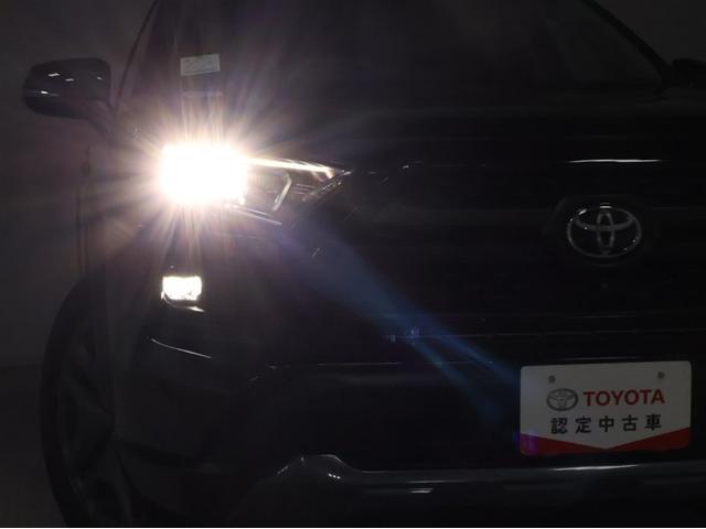 ＲＡＶ４ アドベンチャー（30枚目）