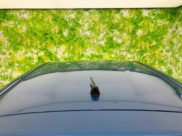 ノート eパワーメダリスト 保証書/純正 SDナビ/衝突安全装置/車線逸脱防止支援システム/シート ハーフレザー/ドライブレコーダー 純正/ヘッドランプ HID/Bluetooth接続/ETC/EBD付ABS/横滑り防止装置(62枚目)