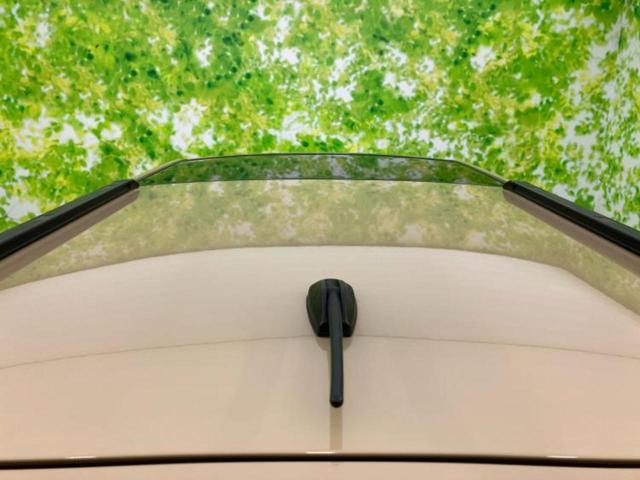 タフト G 新品タイヤ/サンルーフ/保証書/純正 SDナビ/スマートアシスト(トヨタ・ダイハツ)/シートヒーター/車線逸脱防止支援システム/パーキングアシスト バックガイド/ヘッドランプ LED DVD再生(62枚目)