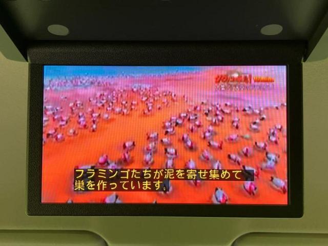 エルグランド ハイウェイスターＳ　ニスモエアロ／保証書／社外　ＳＤナビ／フリップダウンモニター　社外　９インチ／エマージェンシーブレーキ／両側電動スライドドア／車線逸脱防止支援システム／シート　ハーフレザー／プロパイロット　フルエアロ（40枚目）