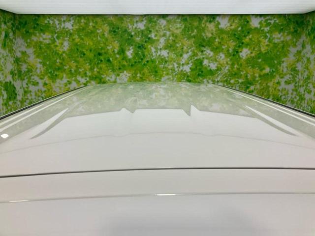 エルグランド ハイウェイスターＳ　ニスモエアロ／保証書／社外　ＳＤナビ／フリップダウンモニター　社外　９インチ／エマージェンシーブレーキ／両側電動スライドドア／車線逸脱防止支援システム／シート　ハーフレザー／プロパイロット　フルエアロ（63枚目）