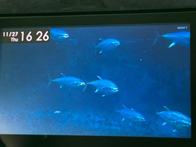 タント カスタムＲＳトップエディションリミテッドＳＡ３　保証書／純正　８インチ　ＳＤナビ／スマートアシスト（トヨタ・ダイハツ）／両側電動スライドドア／シートヒーター　運転席／車線逸脱防止支援システム／シート　ハーフレザー　ターボ　衝突被害軽減システム（13枚目）