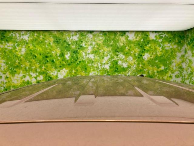 デイズルークス Ｘ　新品タイヤ／純正　ＳＤナビ／電動スライドドア／アラウンドビューモニター／ドライブレコーダー　純正／Ｂｌｕｅｔｏｏｔｈ接続／ＥＴＣ／ＥＢＤ付ＡＢＳ／横滑り防止装置／アイドリングストップ／バックモニター（51枚目）