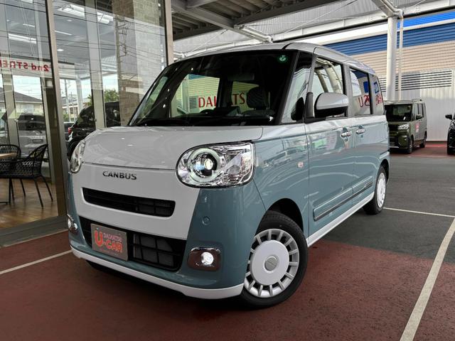 ムーヴキャンバス ストライプスG(34枚目)