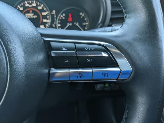 ＭＡＺＤＡ３ファストバック ２０Ｓプロアクティブ　ツーリングセレクション　純正ナビ　地デジＴＶ　ＥＴＣ　パワーシート　シートヒーター　ステアリングヒーター　ＣＤ　ＤＶＤ　ｂｌｕｅｔｏｏｔｈ　ＵＳＢ　ＨＤＭＩ　バックカメラ　レーダークルーズコントロール　純正１８インチアルミ（14枚目）